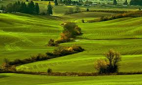 Enter your email address and we'll send you an email for confirmation submit go back powered by activebuilding | terms & conditions. Vineyard And Valley Scenic Tour Route The Official Guide To Portland