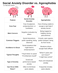 Image result for Agoraphobic Avoidance