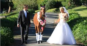 José ángel, quien llega a solicitar el puesto de capataz, la salva de los criminales; Heiraten Auf Einer Finca Mallorca Dream Weddings International