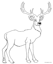 Find photos of mule deer. Free Printable Deer Coloring Pages For Kids Cool2bkids