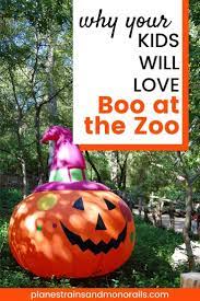 Why You Should Take Your Kids To Ft Worth Zoo S Boo At The Zoo Zoo Boo Zoo Boo