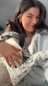 Removing german shorthaired pointer hair from car carpets?