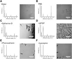 We did not find results for: X Ray Diffraction To Probe The Kinetics Of Ice Recrystallization Inhibition Analyst Rsc Publishing