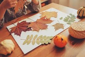 … et de les disposer sur une feuille blanche. 1001 Tutos Et Idees Sympas D Activite Manuelle Maternelle D Automne