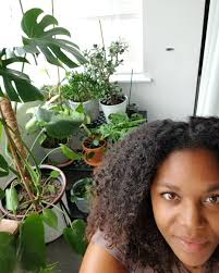 Beautiful flowers in Tampa Bay, Florida