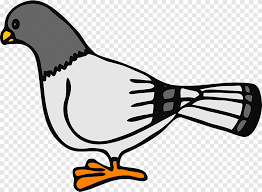 By portal hewan sekitar setahun yang lalu 1.6k views. English Carrier Pigeon Columbidae Homing Pigeon Bird Merpati Hewan Galliformes Png Pngegg