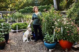 He was 55 years old. Seed Pioneer Renee Shepherd And The Gardening Life Bostonia Boston University