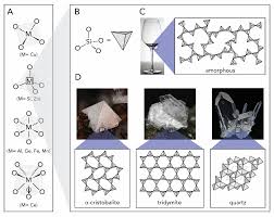 After your cactus has been cooked and the pulp cleaned off. Biomimetics Free Full Text Biogenic Metal Oxides Html