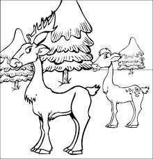 Offre toi un coloriage pokemon legendaire. Coloriage Chevreuil 2729 Animaux Album De Coloriages