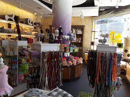 We are a friendly and professional pet grooming salon. Pampered Pets Pet Grooming Centres In Dubai Marina Marsa Dubai Dubai
