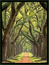 Pin By Lisa Hill On Bucket List Walking In Nature Beautiful Places Places To Go