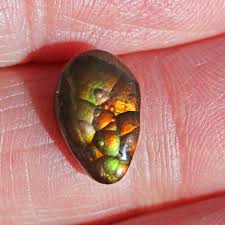 Image result for Fire Agate 2012 GX