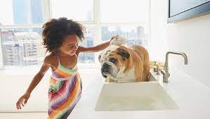 Lots of showers can dry your dog's skin and create problems. Dogs 101 Everything You Should Know About Bathing Your Dog Dogtime