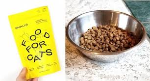 Like humans, cats require good nutrition to stay healthy and our readers rely upon the cat food reviews, articles and recall alerts that we research and publish. 10 Best Cat Foods In 2021 Unbiased Review We Re All About Cats