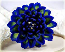 Browse a wide selection of colors and flower. Blue And Yellow Dahlia Brooch Cobalt Blue Dahlia Pin Flower Seeds Fragrant Flowers Dahlia Flower