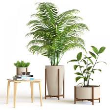 Decorative Interior Plant 3d Model For Download Cgsouq Com Interior Plants Plants Indoor Plants