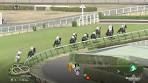 2024.04.13 Nakayama Grand Jump (JPN) - Irogotoshi