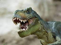 Der grund für das auftauchen dieser theorie war die entdeckung eines stückes gestein, das aus der zeit des aussterbens stammt und das reich an iridium ist, eine komponente, die auf. Wieso Sind Dinosaurier Ausgestorben Krokodile Aber Nicht Wissenschaft Im Dialog