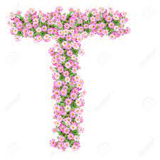 Huge collection, amazing choice, 100+ million high quality, affordable rf and rm images. Letter T Alphabet With Zinnia Flower Abc Concept Type As Logo Typography Design Stock Photo Picture And Royalty Free Image Image 40321162