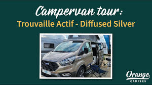 Image result for Diffused Silver 2019 Transit