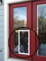 Premium pet doors is a family owned and operated pet door supplier and installer serving colorado springs and surrounding areas since 1996. Dog Door Installation In Glass Dog Doors Free Estimates