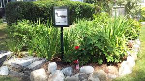 This keeps water from stagnating and mosquitoes from breeding. How To Create A Rain Garden At Home