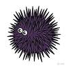 Urchins belong to the phylum echinoderm. 1