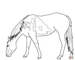 Horse coloring page to print and color for free : Free Printable Coloring Pages In Grazing American Quarter Horse Coloring Pages Horse Coloring Pages Horse Coloring Free Printable Coloring Pages