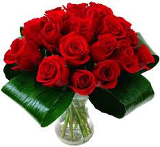 We did not find results for: Clare Florist Love 20 Red Roses Fresh Flowers Bouquet Romantic Valentine S Flowers Amazon Co Uk Garden Outdoors