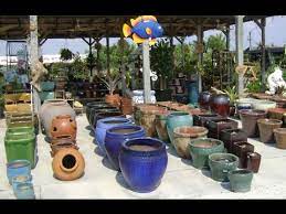 Civil lines, prayagraj, nursery near medical college. Ceramic Pots Wholesaler Wholesale Dealers In India