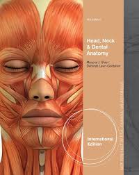 Head, Neck and Dental Anatomy, Interantional Edition : Short, Marjorie,  Levin-Goldstein, Deborah: Amazon.sg: Books