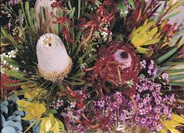 Joan rose of the water quality and health council. Bleaching Plant Foliage Agriculture And Food