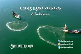 5 Jenis Usaha Perikanan Di Indonesia Belajartani Com