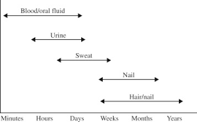 Maybe you would like to learn more about one of these? Testing Of Drugs Of Abuse In Oral Fluid Sweat Hair And Nail Analytical Interpretative And Specimen Adulteration Issues Sciencedirect