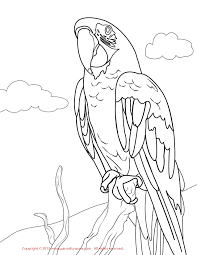 Also you can search for other artwork with our tools. Scarlet Macaw Coloring Page