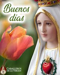 Caballeros de la Virgen