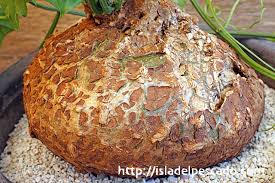 Image result for Cyclantheropsis parviflora