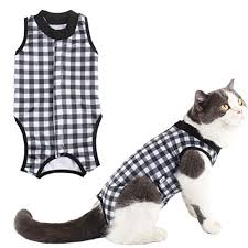 Allow your cat to heal in comfort and dignity with the suitical recovery suit for cats. Due Felice Cat Professional Surgical Recovery Suit For Abdominal Wounds Skin Diseases After Surgery Wear E Collar Alternative For Cats Dogs Home Indoor Pets Clothing Blue Star L Wantitall