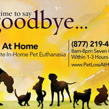 When someone who loved us unconditionally is faced with a life of pain, a peaceful death may be the kindest act we can offer. Pet Loss At Home Home Euthanasia Vets 11 Photos Veterinarians Milwaukee Wi Phone Number
