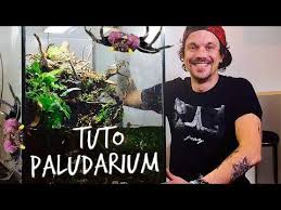 34 Tuto Paludarium Un Paradis Pour Mes Crabes Vampires Toopet Youtube Paludarium Crabe Vampires
