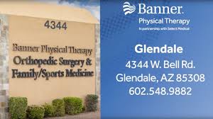 Gina Sebranek Pt Glendale Az Physical Therapy Book Appointment