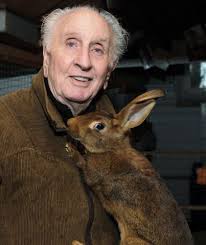 Dalton's Peter Rabbit makes star appearance