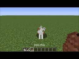 To get skeleton dogs alongside regular dogs, you will need a mod, that will add how to grim texture pack skeleton dog halloween How To Get A Skeleton Dog In Minecraft Xbox 360 Dogwalls