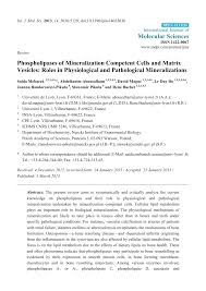 Find all the music of randa kamel in one place! Phospholipases Of Mineralization Competent Cells And Matrix Vesicles Roles In Physiological And Pathological Mineralizations Topic Of Research Paper In Biological Sciences Download Scholarly Article Pdf And Read For Free On Cyberleninka