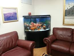 An aquarium or even a small fish tank in the bedroom is not good feng shui. Fish Tank In Living Room Images Bedroom Atmosphere Ideas House Terrarium Kitchen Bed Cool Tanks Moving Animal Planet Apppie Org