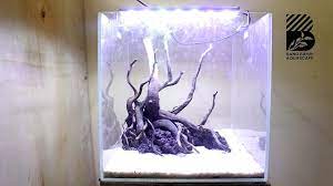 Membuat Project Hardscape Keren Nano Tank Youtube