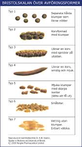 Att det kommer blod i samband med att du bajsar kan ha olika orsaker. Fordjupningar Utbildning Nikola Nu