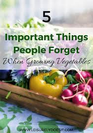 Name 3 vegetables that grow under the ground. 5 Important Things People Forget When Growing Vegetables