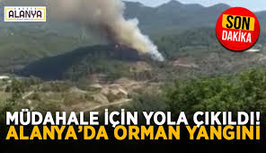 Alanya'da turistik çarşıda çıkan yangında, 7 iş yeri tamamen yandı, 8 iş. Ybunlm6pyczjim