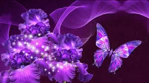 Purple Butterfly Wallpaper Hd Resolution Monodomo Purple Butterfly Wallpaper Butterfly Wallpaper Purple Butterfly